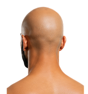 Bald